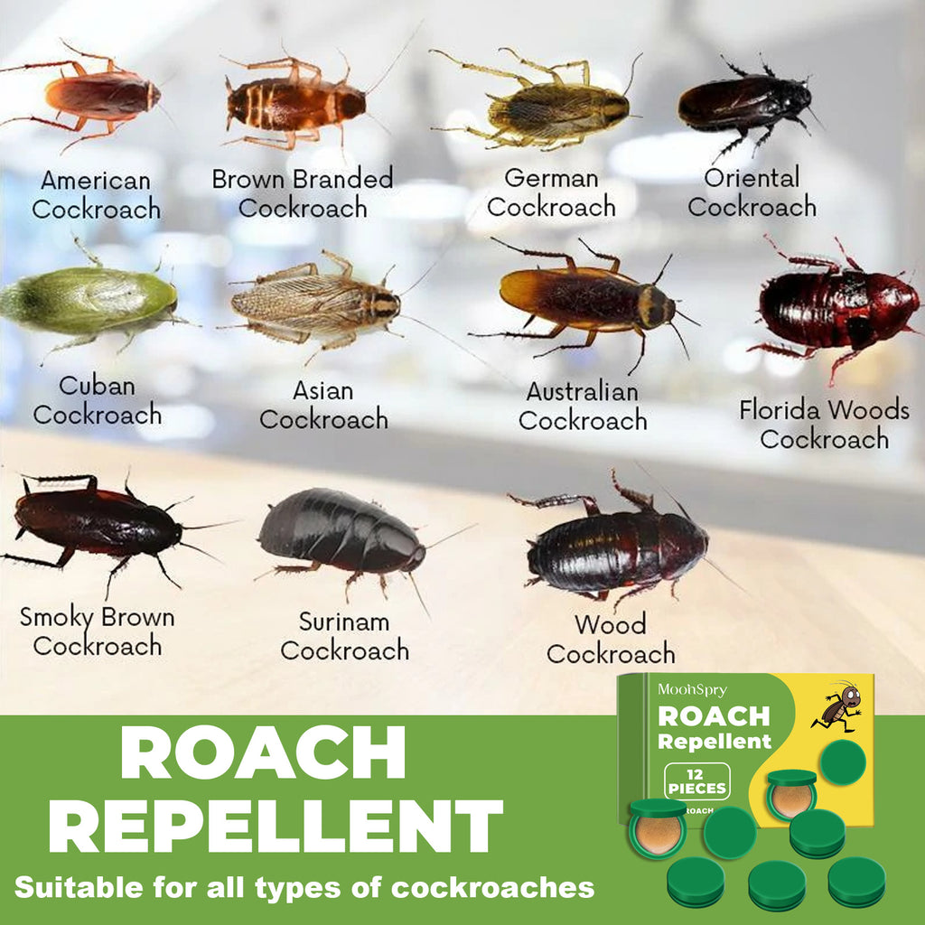 MoonSpry cockroach repellent Household Dormitory Kitchen Powerful Cleaning Cockroach Killer Cockroach Repellent